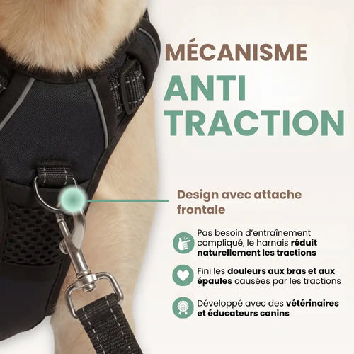 Harnais Anti-Traction Canipop