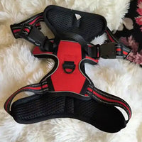 Review image 1